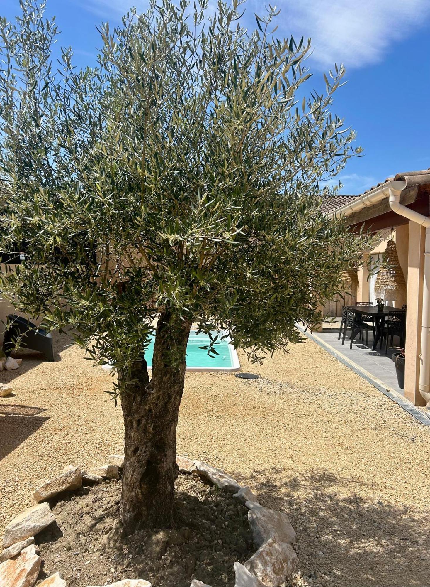 Maison Piscine & Spa Vallon Pont D'Arc Eksteriør bilde